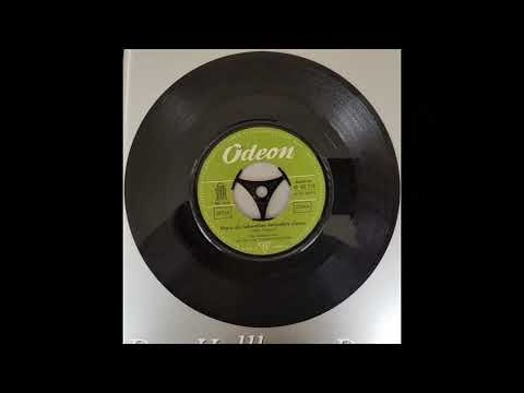 Wenn die Schwalben heimwärts ziehen - Das Hellberg-Duo