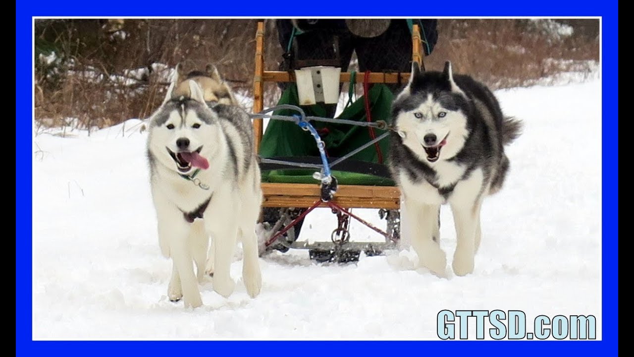 YouTube video preview