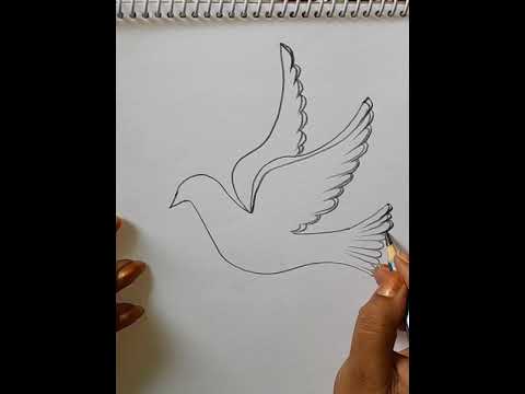 EASY PIGEON DRAWING FOR INDEPENDENCE DAY 🕊🇮🇳