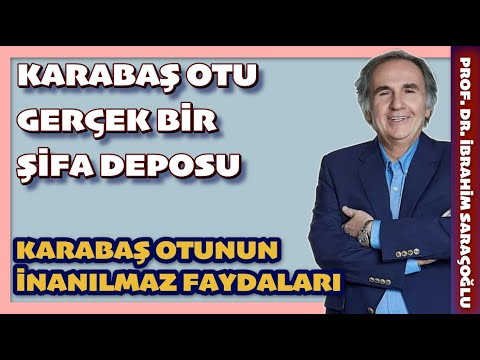KARABAŞ OTU GERÇEK BİR ŞİFA DEPOSU. #ibrahimsaraçoğlu  #karabaş #