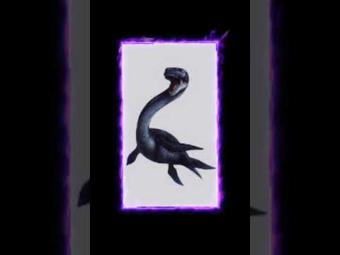 Your marine reptile￼