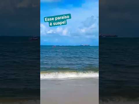 Suape um verdadeiro paraíso em Pernambuco @vemconhecerjuntos!