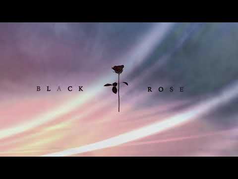 Arash Shadram - All The Bright Places