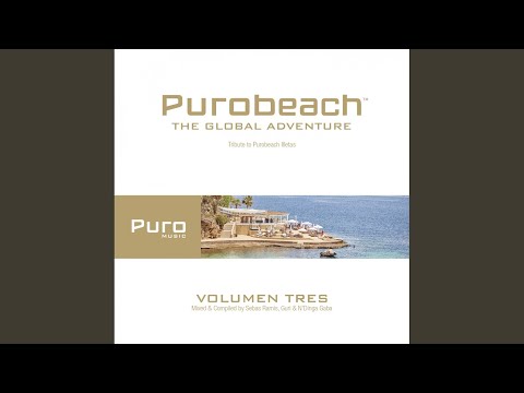 Puro Music Bonus by N'Dinga Gaba (Continuous Mix)