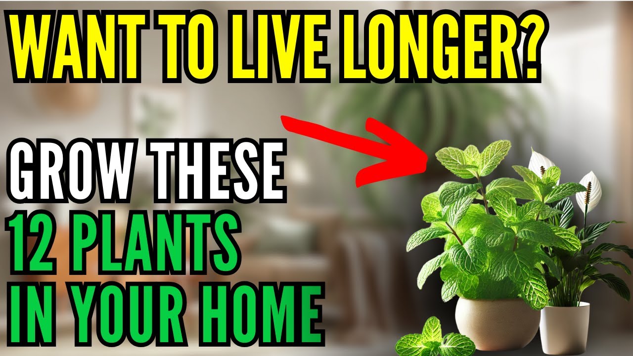 12 Protective Plants for the Home – Repel Negative Energy, Keep You Healthy, and Live Longer
