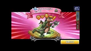 【どこパレ！】Lv１６　SSランク同種配合 特技伝授チャレンジ！＋最強ごうけつぐま育成計画　ベホマラー伝授の巻