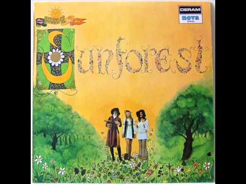 Where Are You - Sunforest