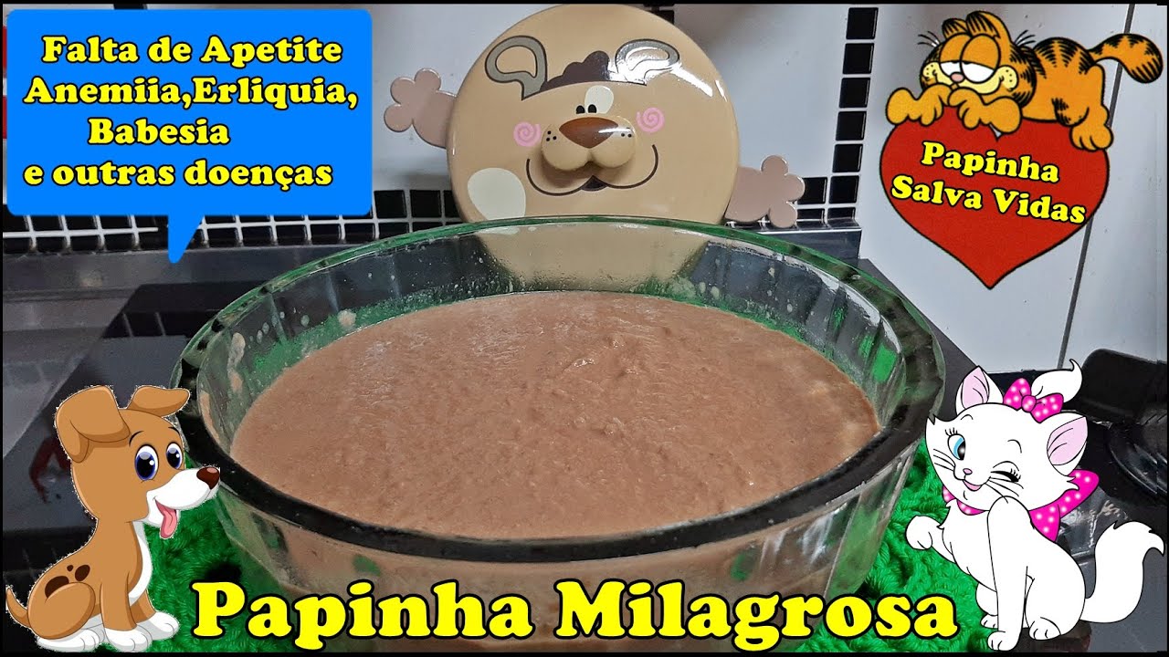 PAPINHA MILAGROSA PARA NOSSOS BICHINHOS - TRATA - ANEMIA ,FALTA DE APETITE,ERLIQUIA,BABESIA,ETC