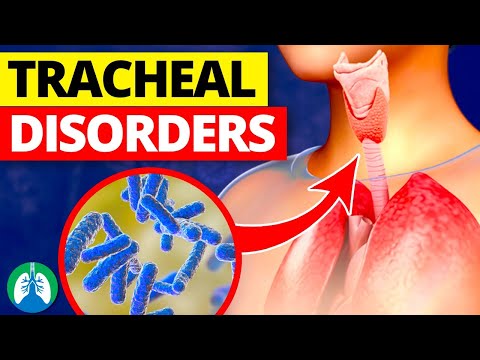 7+ Types of Tracheal Disorders | Conditions of the Trachea