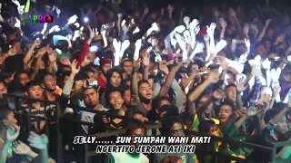 Download lagu Wandra - Selly  mp3