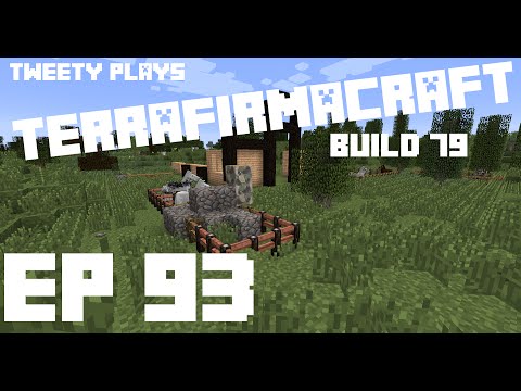 Tweety plays Terrafirmacraft ep 93 - The Barn