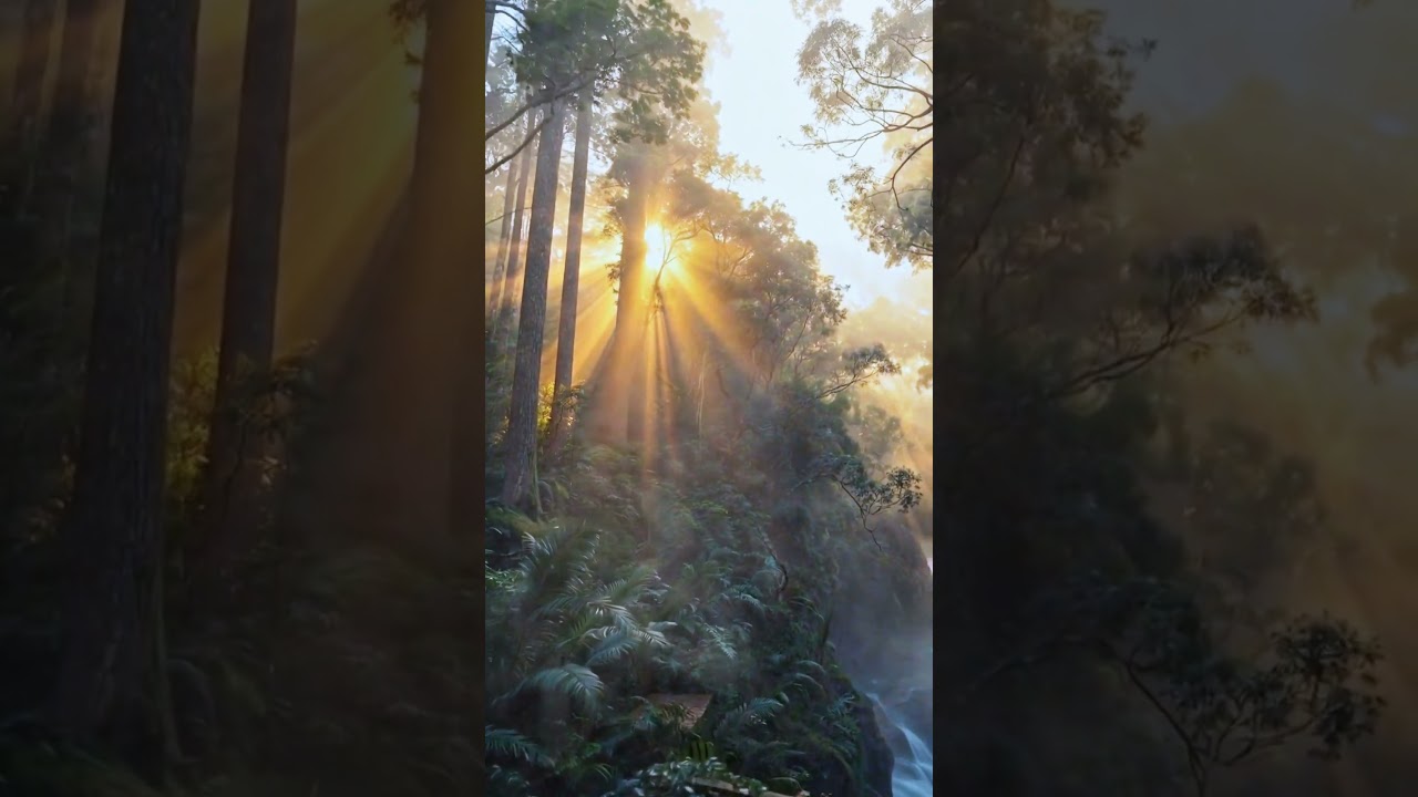 Your Mind Needs This Right Now 🌙 | Deep Calm #nature #peace
