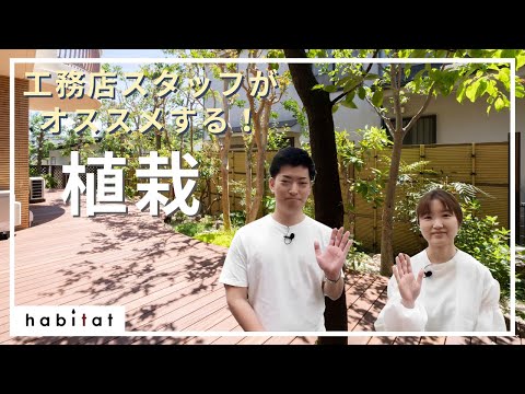  2022 年に続く住宅前の造園における最も強力なトレンド  庭園