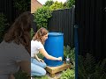 Save Money on Your Water Bill 💰🌧️ This Genius DIY Changes Everything! (USA Garden Hack)