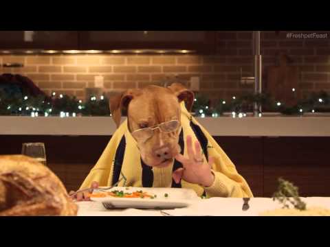 Freshpet Holiday Feast   13 Dogs and 1 Cat Eating with Human Hands