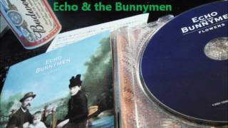 Everybody Knows / Echo &amp; the Bunnymen