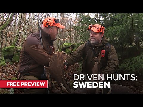 Driven Hunts: Sweden, Eps 1 | Exclusively on MyOutdoorTV