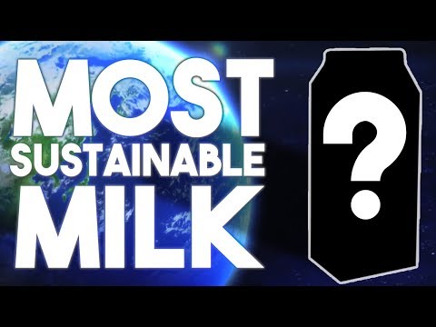 The Most Sustainable Plant Milk?