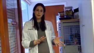 Boarding at the Veterinary Center for Birds & Exotics