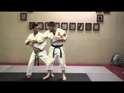 Waza Wednesday 6-17-15 - Pinan Sandan Oyo Bunkai 2