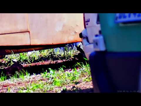 Parte do jogo de Airsoft de hoje em Quedas do Iguaçu - PR no dia do trabalho (01/05/2026).