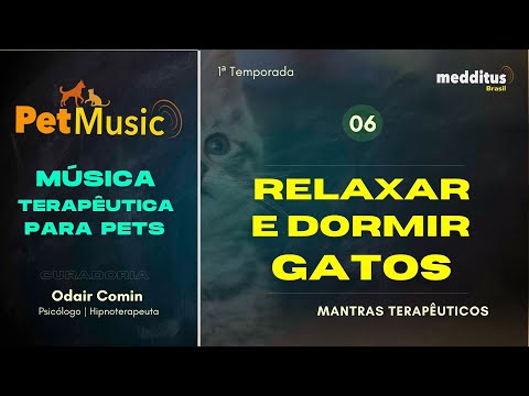 Música para seu Gato Relaxar e Dormir | Mantra Terapêutico