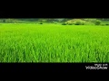 Punjai Undu Nanjai Undu Song For Tamil People Dedicated