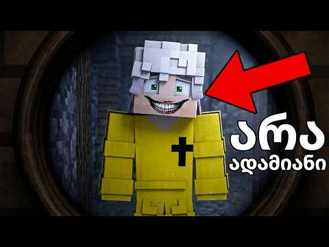 რატომ აღარ არის ზახიდა ადამიანი? - Minecraft
