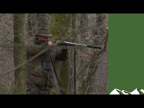 Hunting hiccup – Roy shoots, David misses