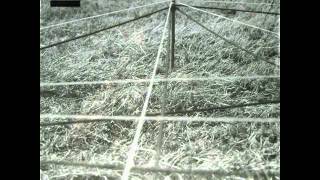 Pendle Coven - Blast Turntable (Binky's Beats)