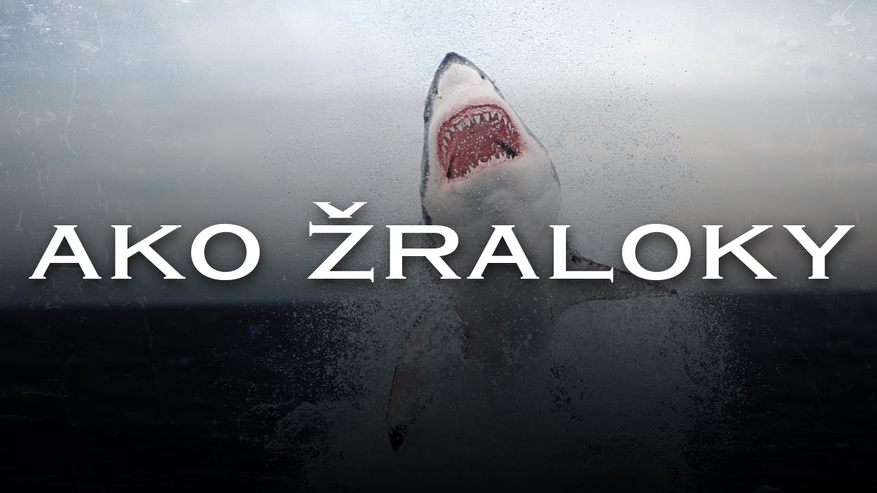 Loko Loko - Ako žraloky (Official Audio)