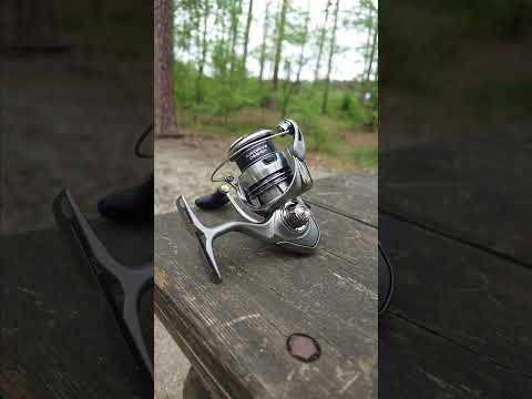 Kołowrotek Daiwa 23 Exceler LT 2500