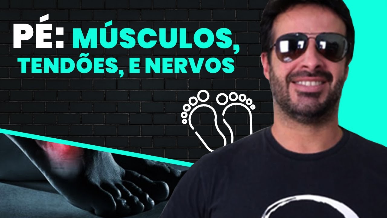 PÉ MÚSCULOS, TENDÕES, E NERVOS