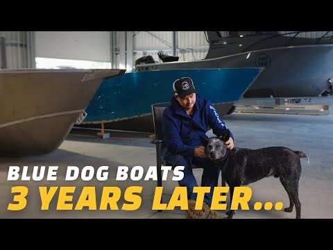 Blue Dog Boats — Bigger Shed - Bigger Designs - Bigger Goals