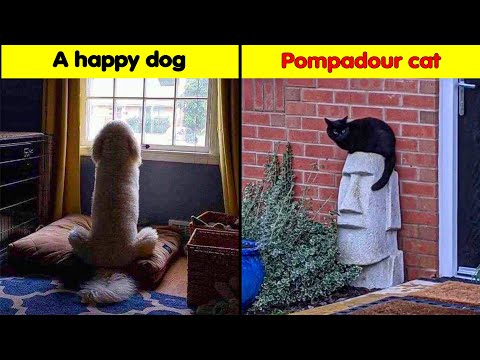 People Experienced Pareidolia In The Most Unexpected Places 5️⃣