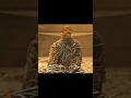 A Deadly Snake Trap Only One Girl Survives The Chaos Shorts Viral Movie