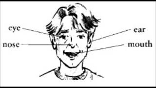 Head shoulders knees & toes Song