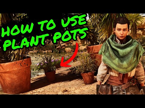 How To Use PLANT POTS in Ark Survival Ascended!!!