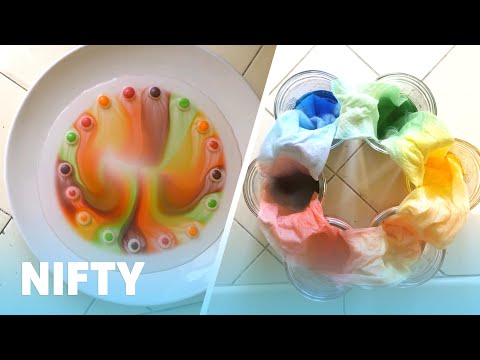 4 Kid-Friendly Rainbow Science Projects
