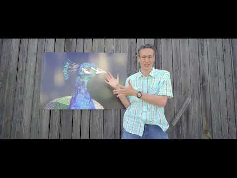 Wie viele Megapixel hat dieses Poster? 😱 Wer kann gut schätzen??