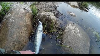 Рыбалка на немане калининградской области