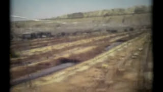 WINTER FAMILY - NEW SUN