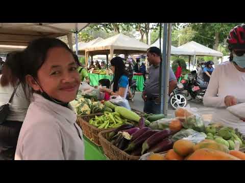 Amazing Site Distributes Fresh Vegetables , Fresh Fish, Seafood,, Crabs, Pork, Fish Eggs & More.