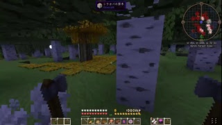 れみとギルのマイクラマルチ2
