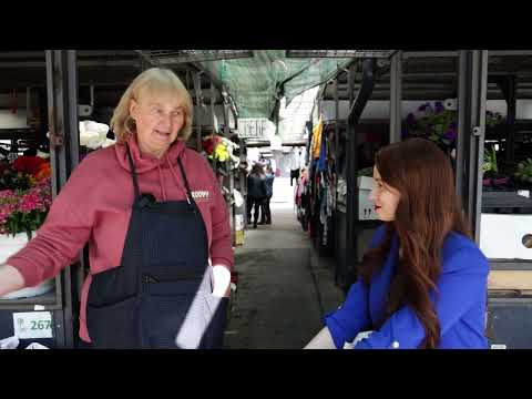 Ceger ep. 19. 04. 2022.