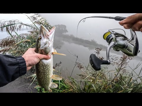 Hecht Angeln am kleinen Fluss