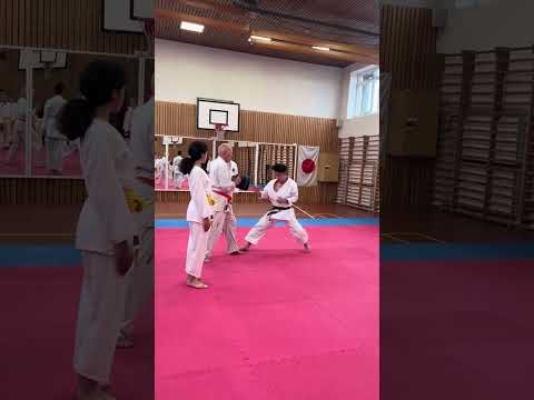 Toyama-Sensei demonstrating chudan gyaku-zuki #gyakuzuki #kumite  #karate