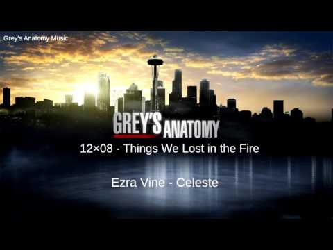 Grey's Anatomy Season 12 Episode 8: Ezra Vine - Celeste