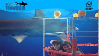 DIA 3 Expo Tiburon84