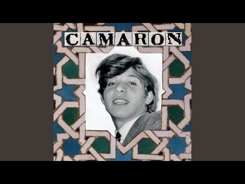 Seguiriyas De Los Grillos